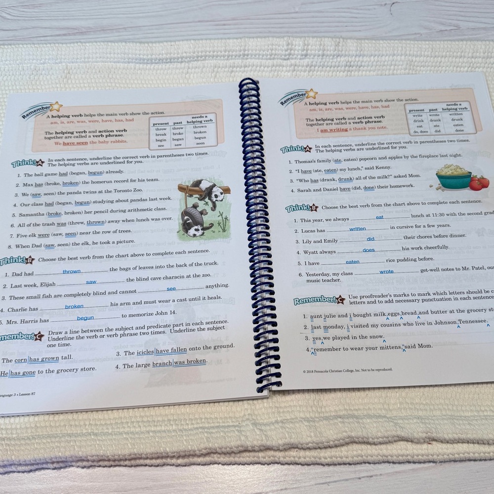 Abeka Language Grade 3 Grammar & Writing Answer Key - Picture 3 of 3